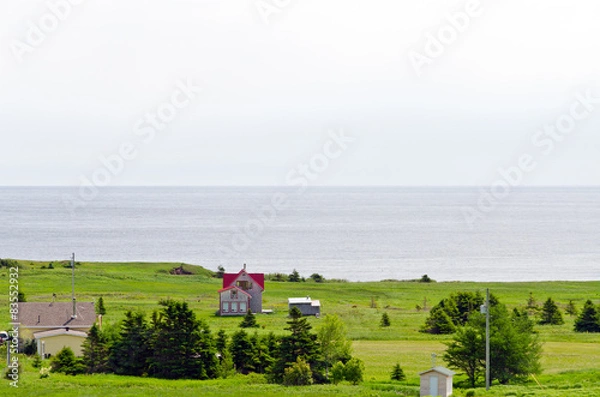 Obraz Newfoundland coast