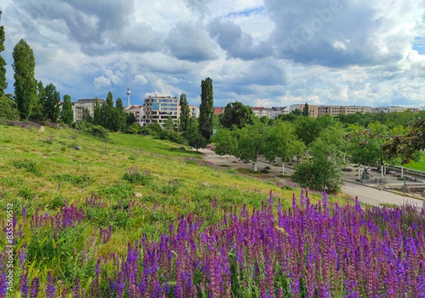 Obraz Picturesque spring view of Mauerpark in Berlin, Germany. Situated in "death strip" of Berlin Wall (Mauer) Mauerpark is now a social, cultural and artistic center of Berlin