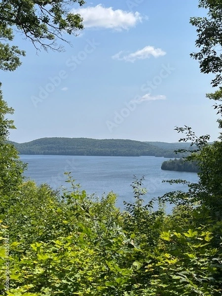 Obraz beautiful lake in a forest