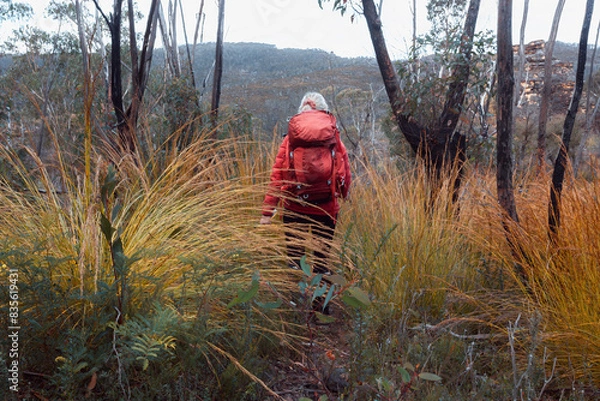 Obraz Female hiker walking through thick scrub in the mountains of Australia