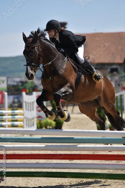 Fototapeta horse jumping
