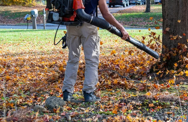 Obraz worker uses a leaf blower for fall clean up in a  Indiana yard