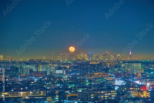 Obraz 川崎市多摩区と東京都(西新宿)方面の夜景と月出