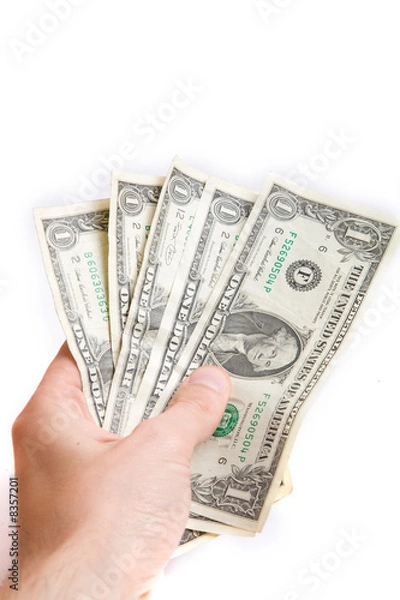 Fototapeta dollars in a hand isolated on white