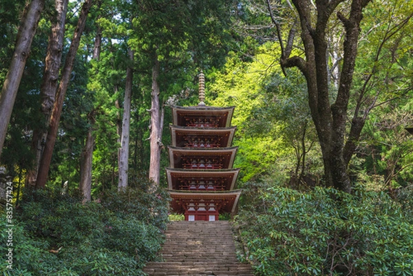 Fototapeta 奈良 室生寺 新緑に包まれた国宝五重塔
