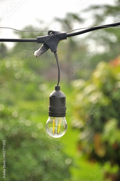 Obraz Light Bulb on Green Background