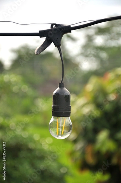 Obraz Light Bulb on Green Background