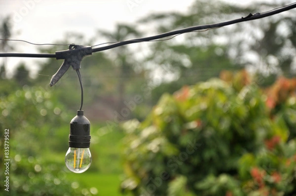 Obraz Light Bulb on Green Background