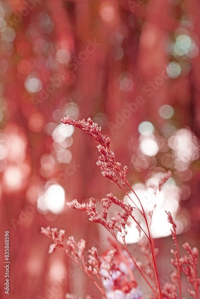 Obraz Closeup Dry  Grass Flowers with Bokeh background - vintage Patterns Red color