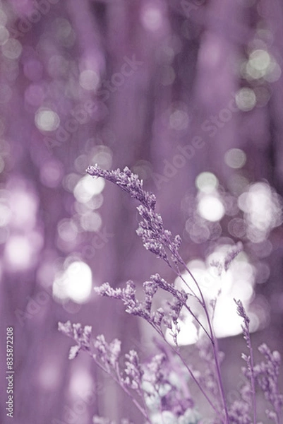 Obraz Closeup Dry  Grass Flowers with Bokeh background - vintage Patterns purple color