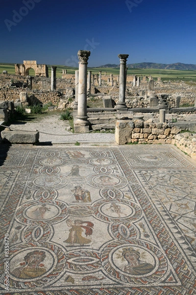 Fototapeta Volubilis