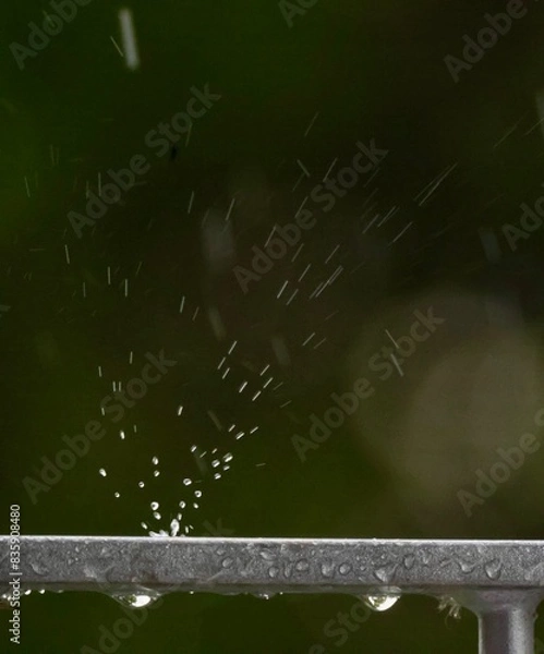 Fototapeta Rain drops on Surface 