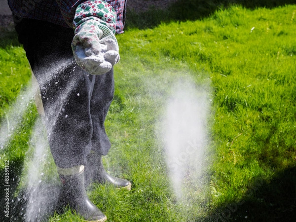 Obraz Dbaj o trawnik