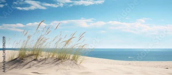 Fototapeta sand desert dune next to ocean and blue sky. Creative banner. Copyspace image