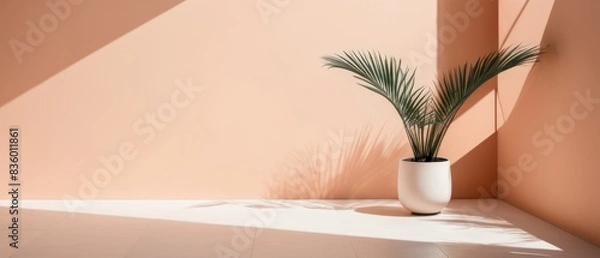 Fototapeta Blurred shadow from palm leaves on the light pink wall. Minimal abstract background for product presentation.