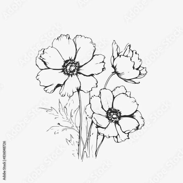 Fototapeta Flower outline vector artwork