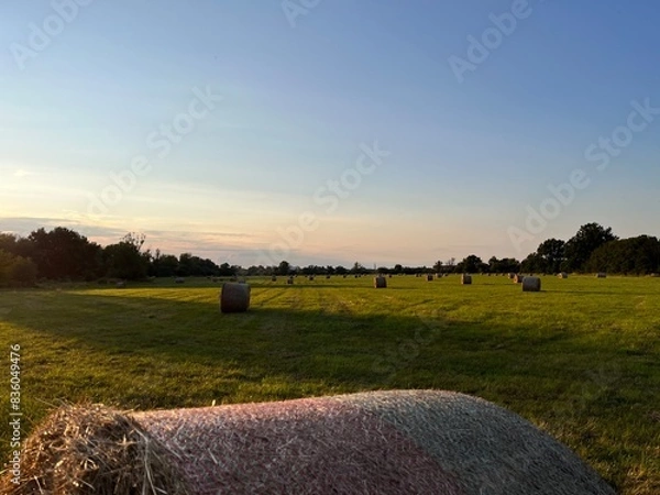 Obraz Magdeburger Landschaft