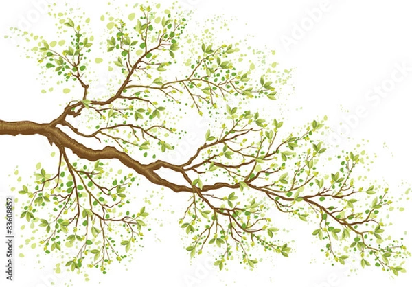Obraz Tree branch with green leaves