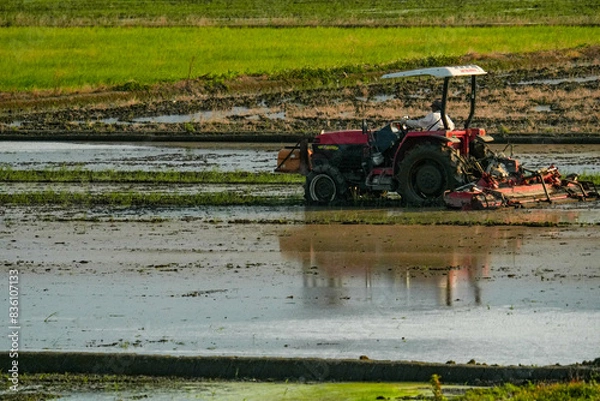 Fototapeta 田植えの準備をするトラクター