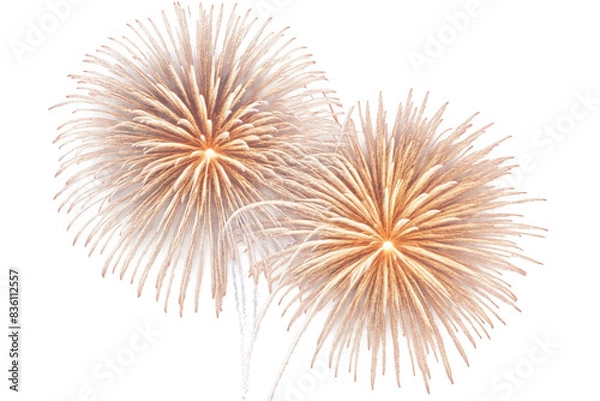 Fototapeta Three golden firework bursts with delicate trails on a transparent, png, white background, suitable for festive designs