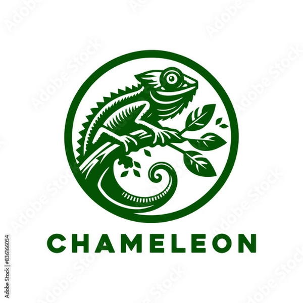 Fototapeta Chameleon logo set design vector illustration. Chameleon logo design