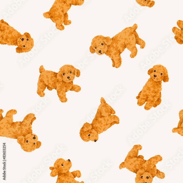 Fototapeta 可愛い犬