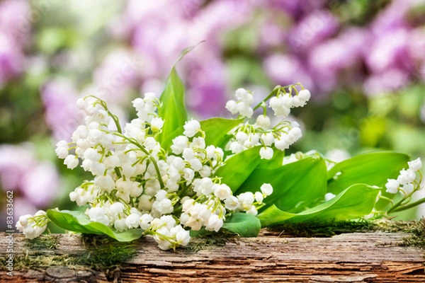 Obraz Konwalie za lasem przed bzami