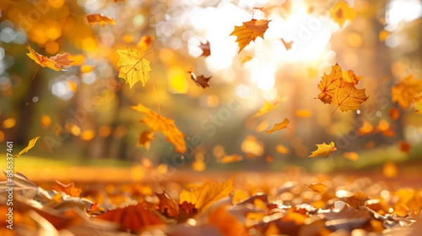 Fototapeta Beautiful autumn landscape with yellow trees and sun. Colorful foliage in the park. Falling leaves natural background