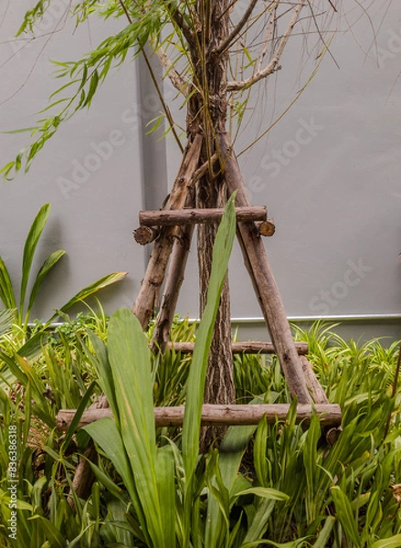Fototapeta A tree with a wooden frame is growing in a garden