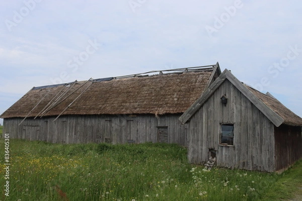 Obraz Sweden. Houses on the island of Visingsö on Lake Vättern. Gränna in Jönköping County.