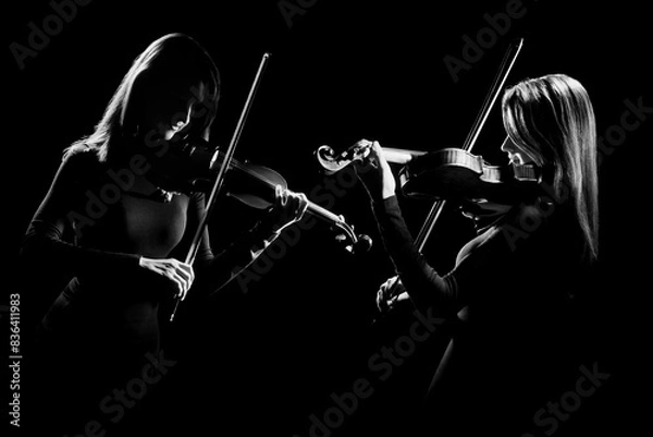 Fototapeta Violin player violinist classical string duet music concert