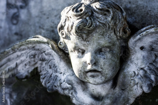 Fototapeta Putte in Friedhof