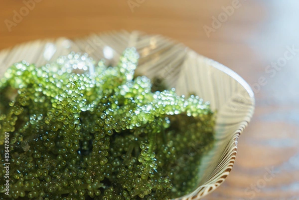 Fototapeta 沖縄名物の海ぶどう