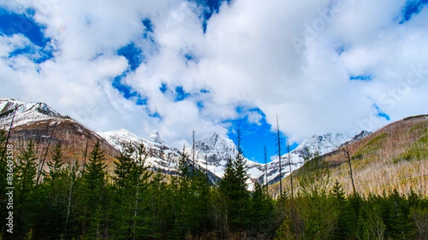 Obraz landscape with mountains