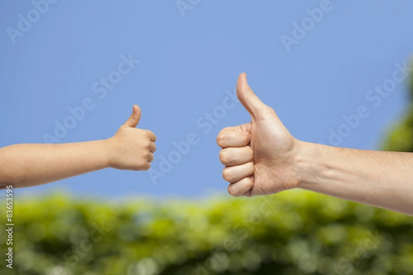 Fototapeta father and son hands giving like on nature background