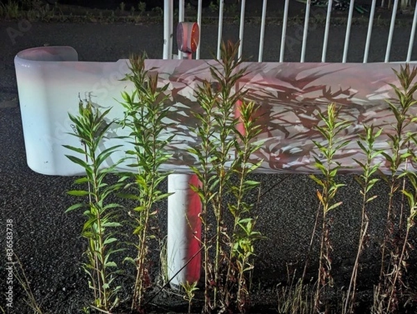 Fototapeta ヘッドライトに照らされたガードレール