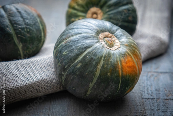 Fototapeta Small green pumpkins with orange spots on a gray textured table, on a linen towel. Close-up.