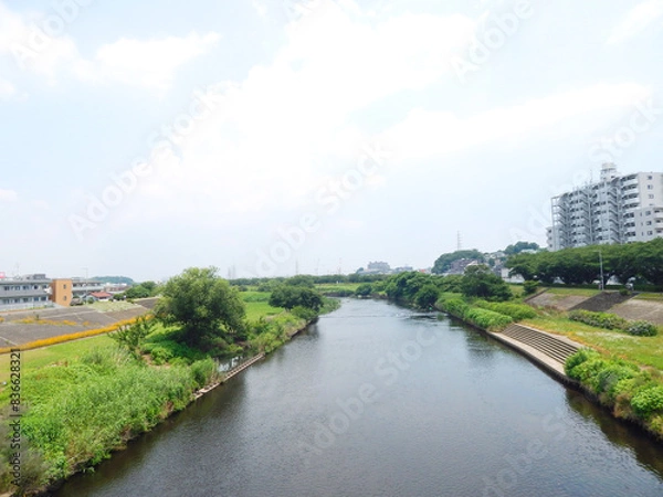 Obraz 鴨居の鶴見川　鴨池大橋　鴨池橋