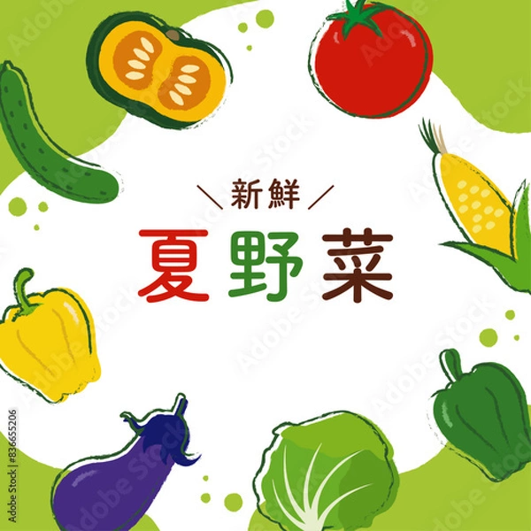 Fototapeta 手描き風の夏野菜の正方形バナーフレーム