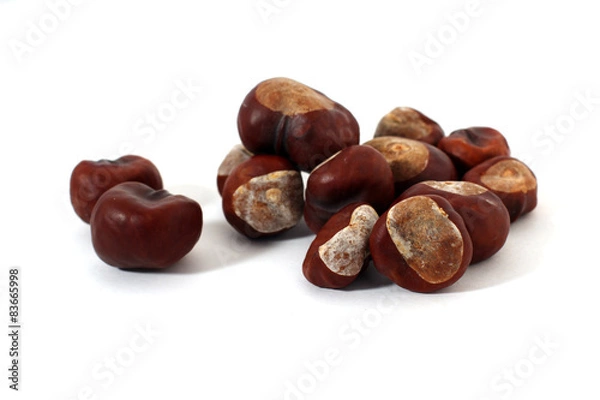 Obraz Каштаны на белом фоне