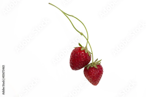 Obraz strawberries