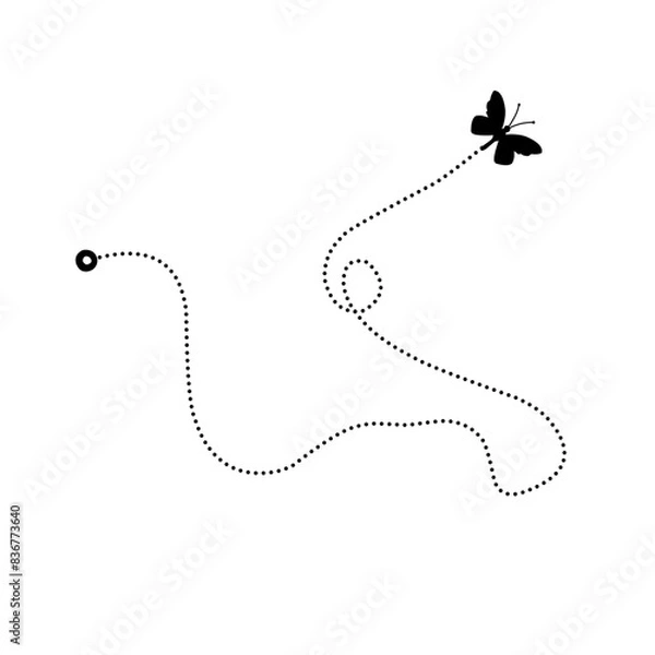 Obraz butterfly flight route
