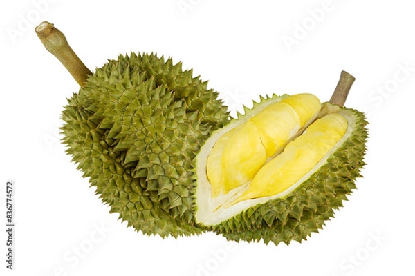 Fototapeta Durian isolated on transparent.