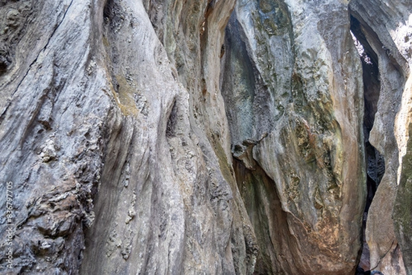 Obraz Whispers Unveiling Earths Secrets