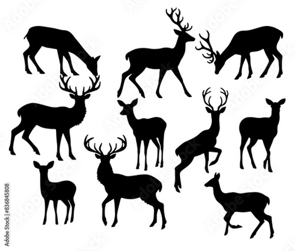 Obraz Deers Silhouette: Majestic Wildlife, Forest Creatures, Flat Vector Illustration