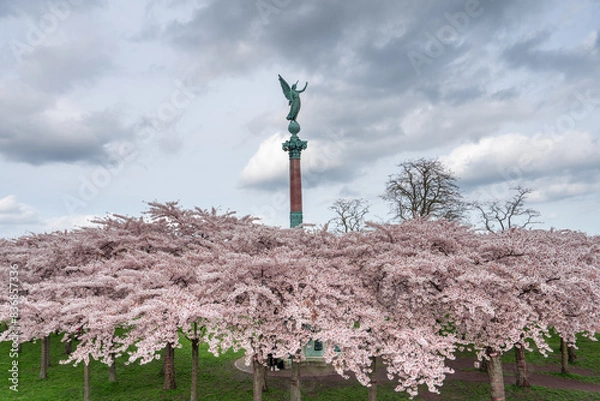 Obraz Statute over Cherry Blossoms