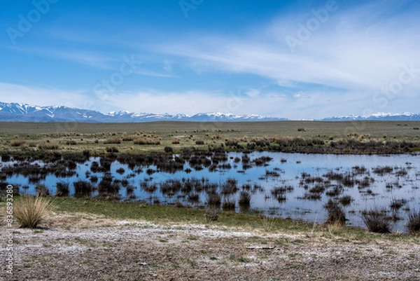 Obraz andscape of the surroundings of the village of Kosh Agach mountains with lakes and unusual landscapes in the southern regions of Altai in May