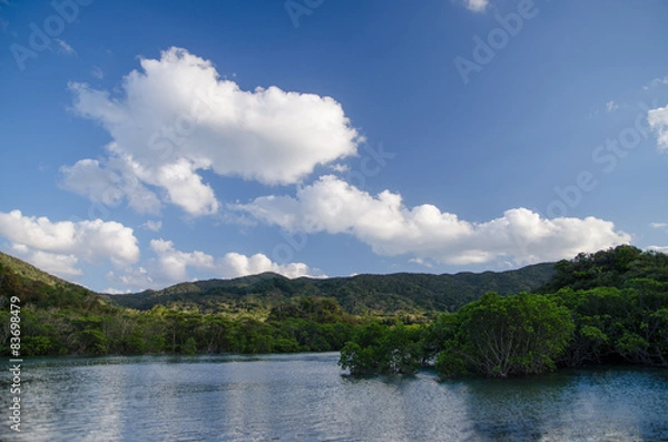 Fototapeta 沖縄県　石垣島　吹通川