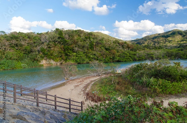 Fototapeta 沖縄県　石垣島　吹通川