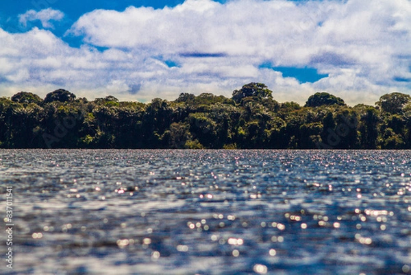 Obraz A view of the Rio Negro in the Brazilian Amazon, its beauty, charms and environmental threats. The Amazon is a biome and ecosystem that is fundamental to the world and the fight against climate change